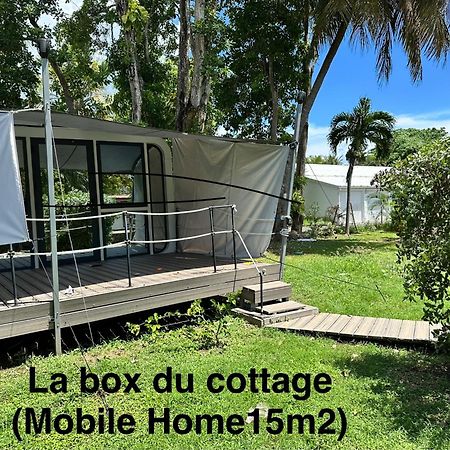 Le Cottage De Castaing Sur Plage Privee Sainte-Anne  Esterno foto