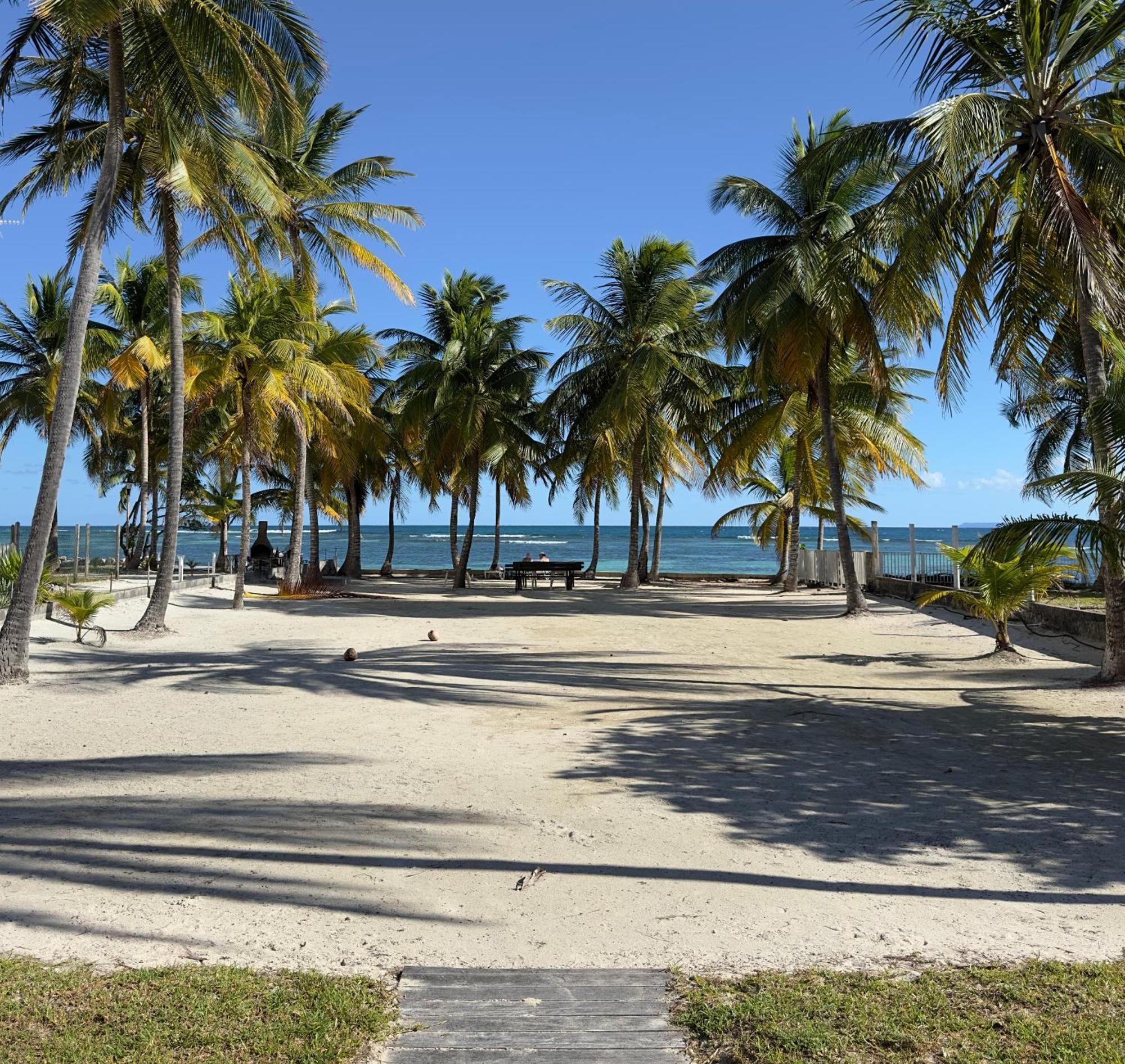 Le Cottage De Castaing Sur Plage Privee Sainte-Anne  Esterno foto