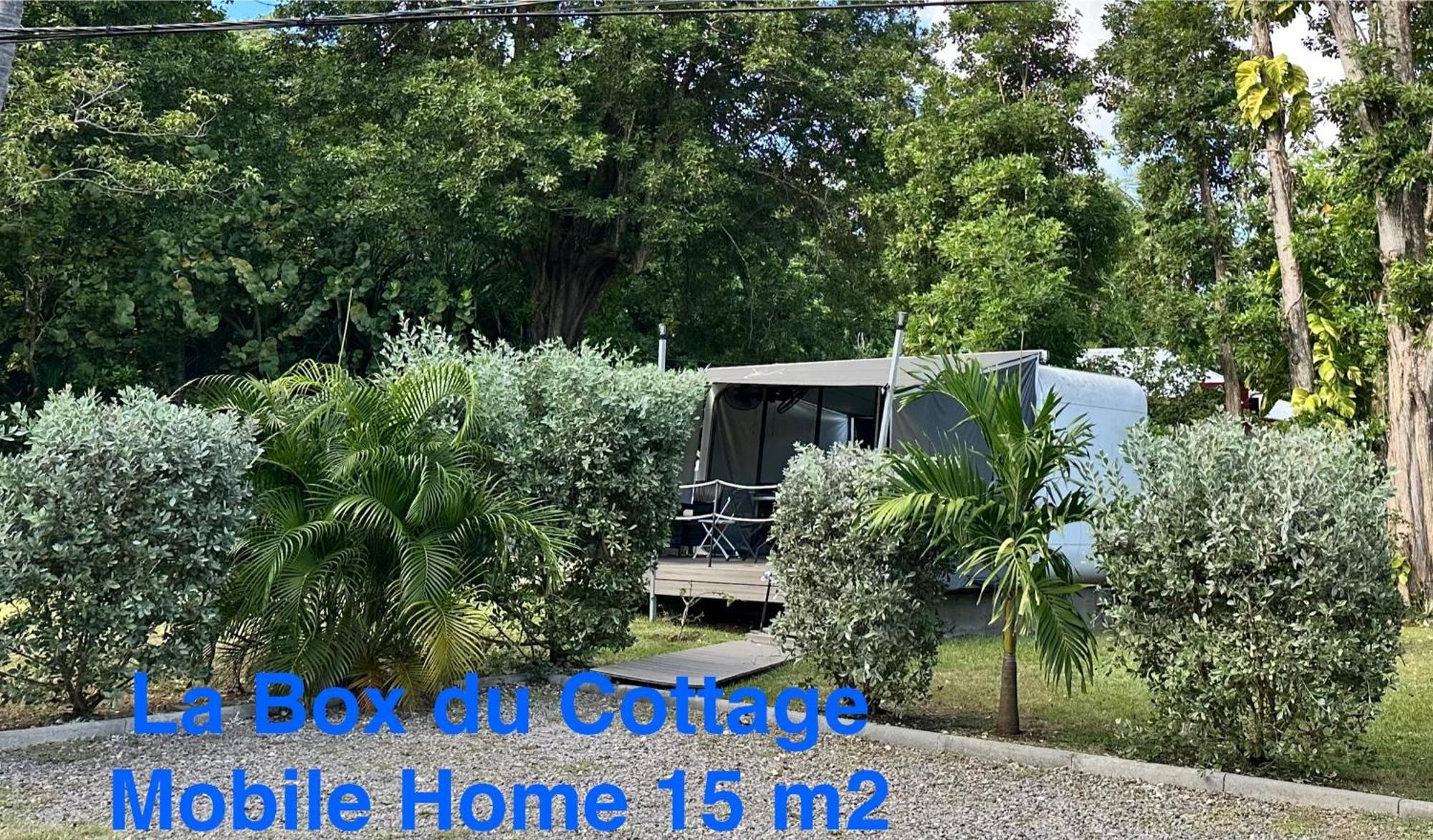 Le Cottage De Castaing Sur Plage Privee Sainte-Anne  Esterno foto